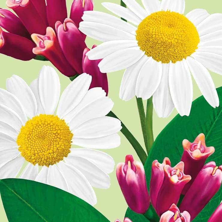 Ecodenta Sensitivity Relief Herkkien Hampaiden Fluorihammastahna-Ecodenta-Hyvinvoinnin Tavaratalo