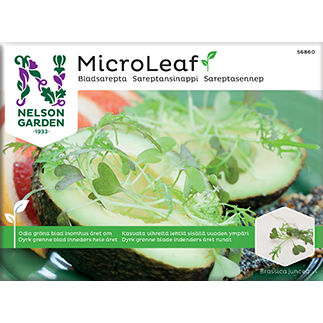 Nelson Micro Leaf Sareptansinappi-Nelson Garden-Hyvinvoinnin Tavaratalo