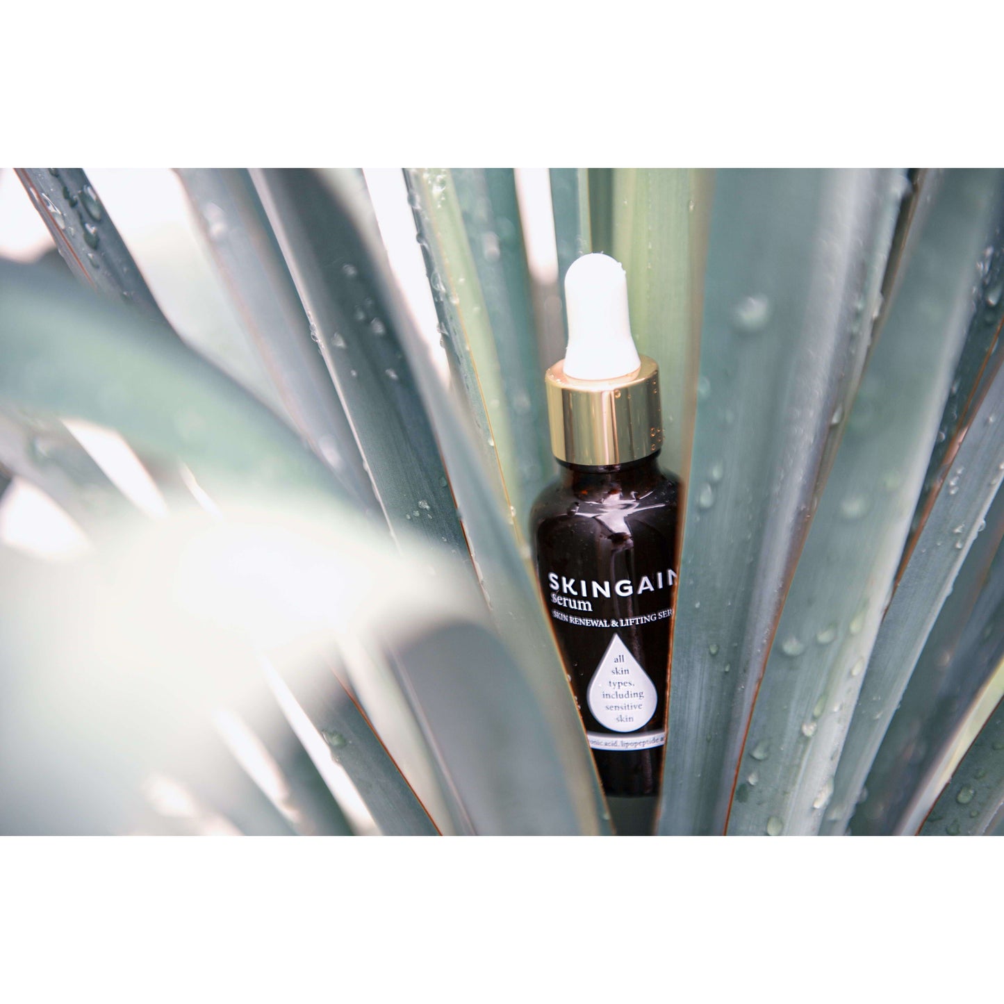 SKINGAIN serum-SKINGAIN-Hyvinvoinnin Tavaratalo