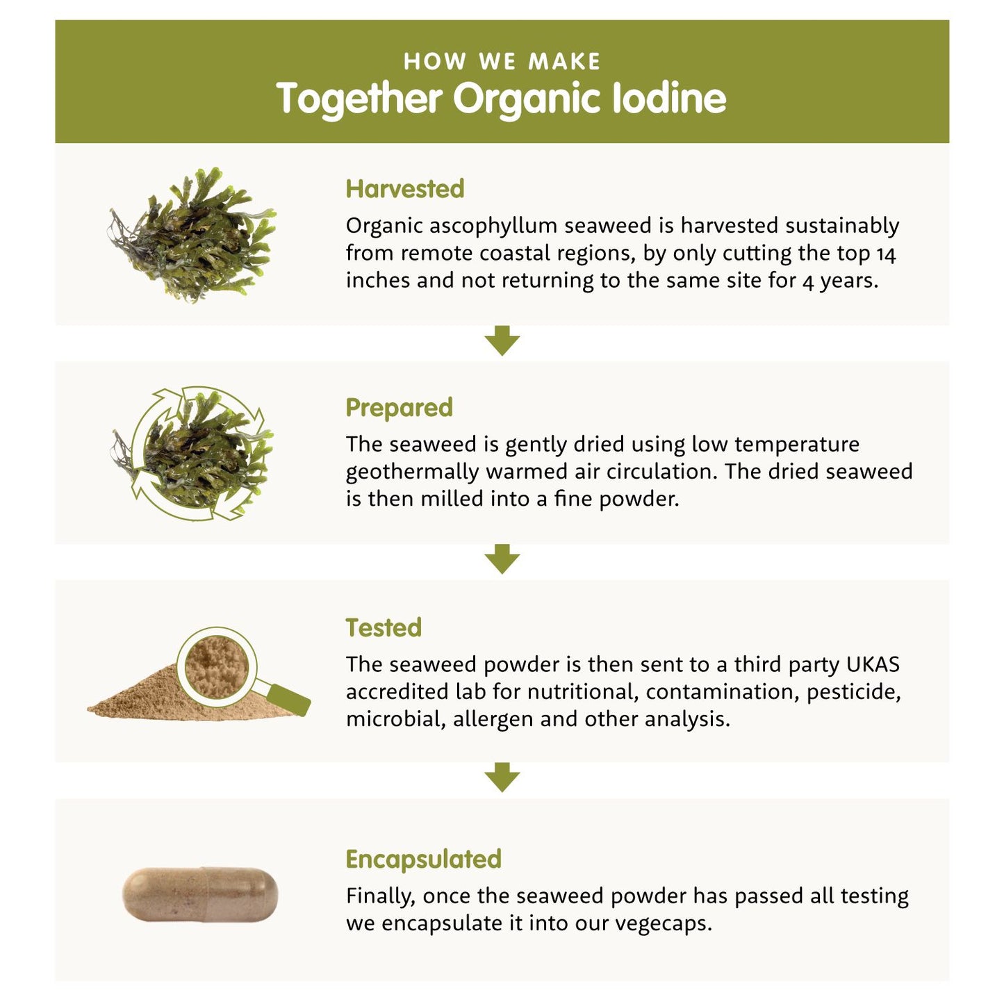 Together Health Iodine-Together Health-Hyvinvoinnin Tavaratalo