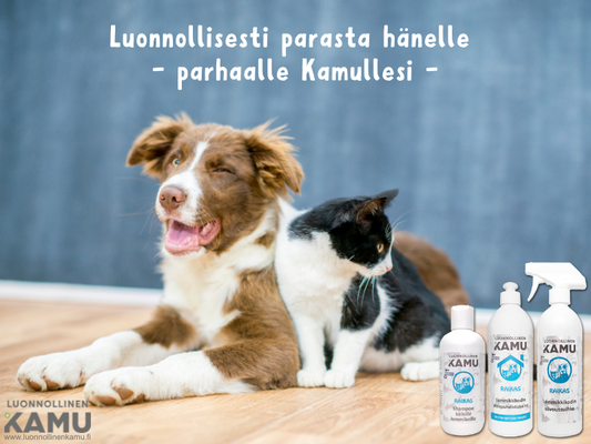 Koira, kissa ja Kamun luonnolliset pesuaineet