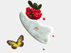 Yin your skin -gua sha  -kampa