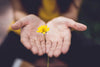 Syvennä ihmissuhteitasi – kirjoita kiitollisuuskirje