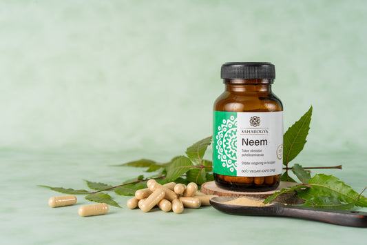 Luonnollista terveyttä ja tasapainoa - syventymistä ayurvedan maailmaan!