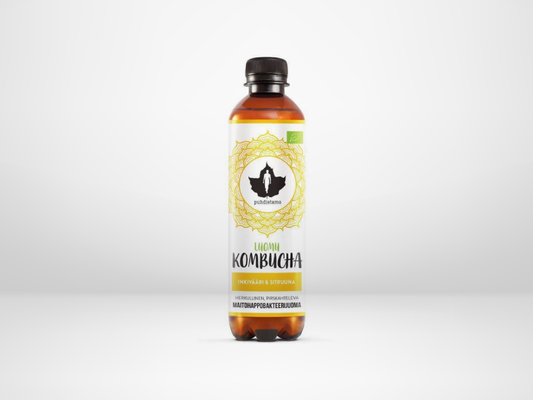 Puhdistamon inkivääri-sitruuna -kombucha virkistää!