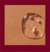 Detria Arbutin Vitamiiniseerumi-Detria Arbutin-Hyvinvoinnin Tavaratalo