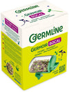 Germline Lasinen Idätysastia