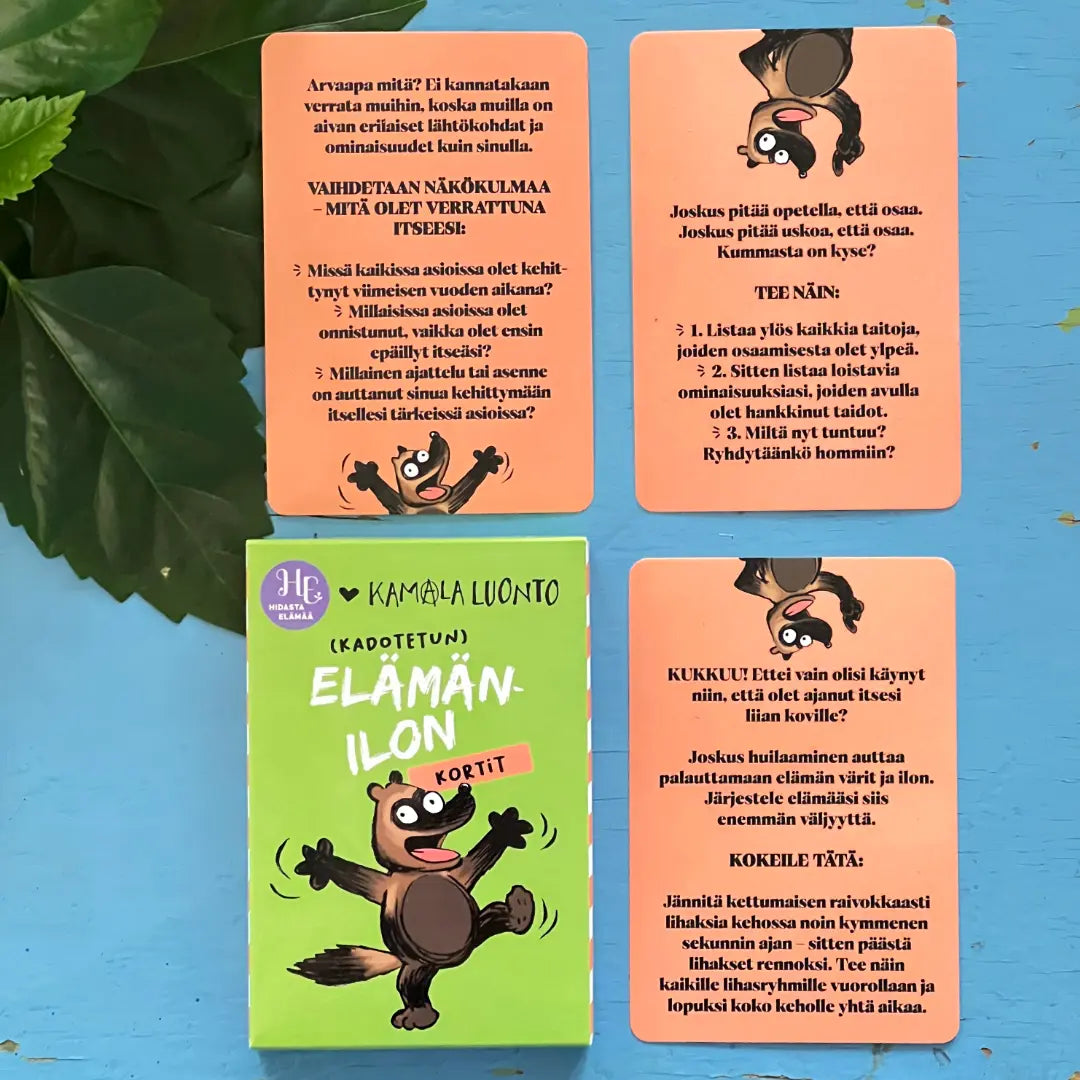 Hidasta Elämää Elämänilon kortit-Hidasta Elämää-Hyvinvoinnin Tavaratalo