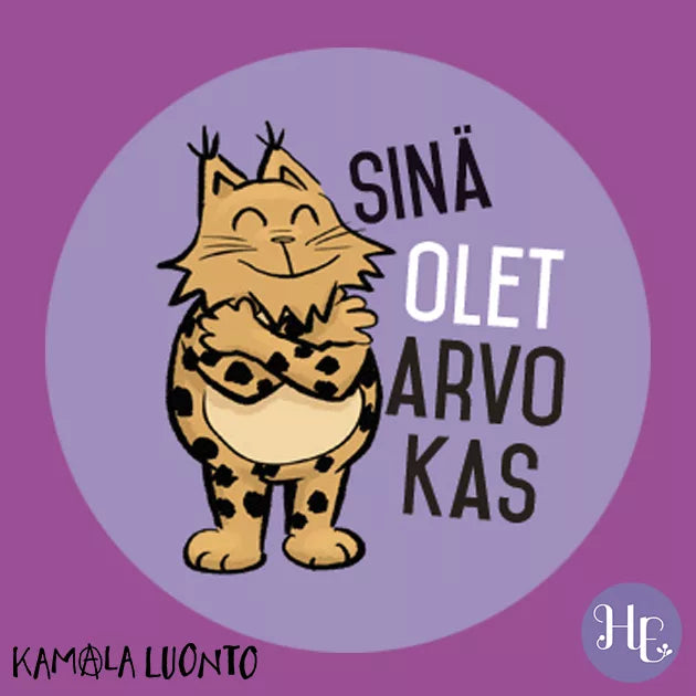 Hidasta Elämää Meni tunteisiin -tarrat-Hidasta Elämää-Hyvinvoinnin Tavaratalo