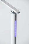 Innolux Oslo LED Kirkasvalo Pöytävalaisin-Innolux-Hyvinvoinnin Tavaratalo