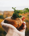 Natura Media Maca-Natura Media-Hyvinvoinnin Tavaratalo