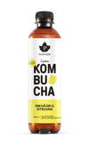 Puhdistamo Luomu Kombucha Inkivääri-Sitruuna, 12-pack-Puhdistamo-Hyvinvoinnin Tavaratalo