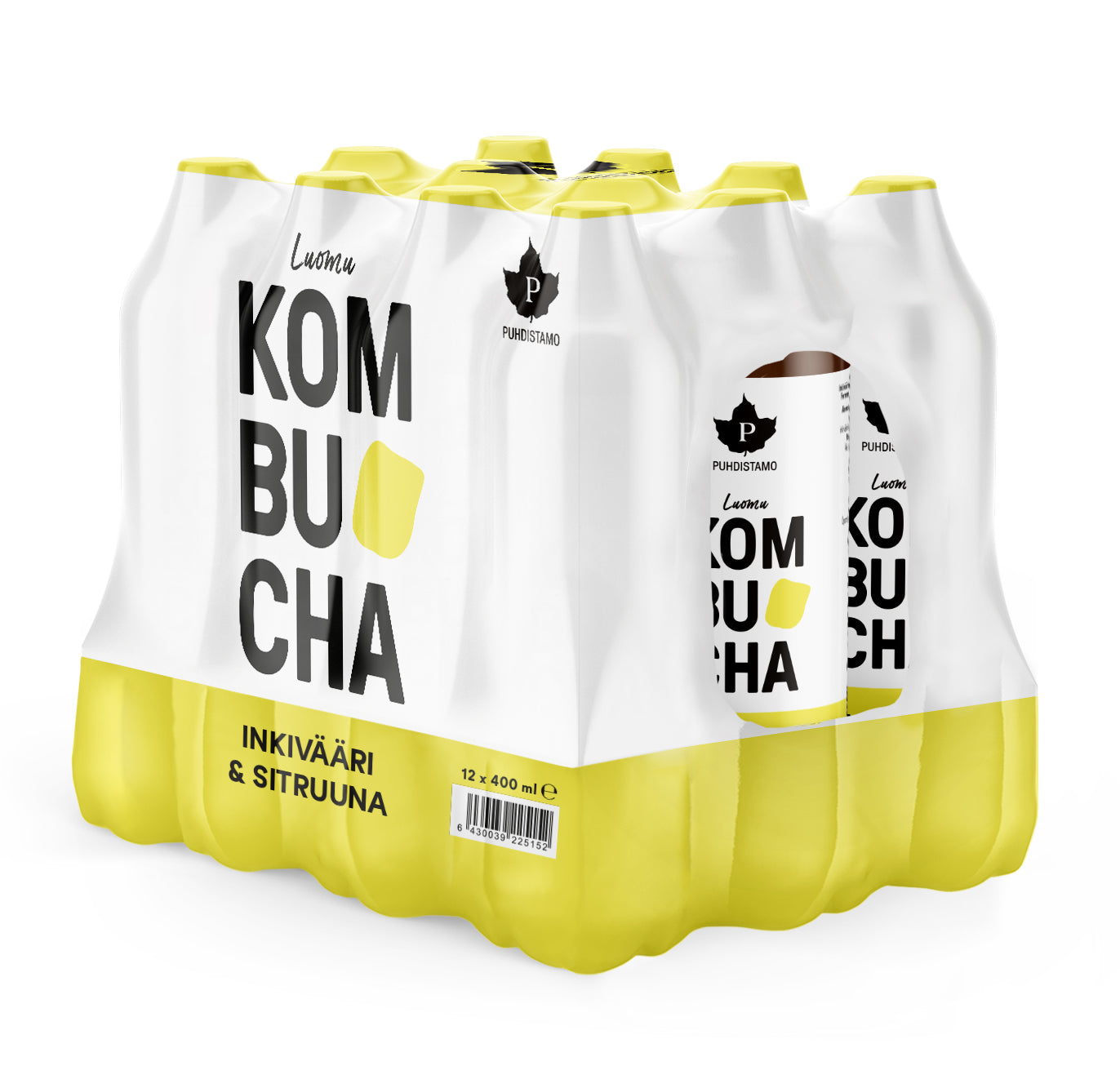 Puhdistamo Luomu Kombucha Inkivääri-Sitruuna, 12-pack-Puhdistamo-Hyvinvoinnin Tavaratalo