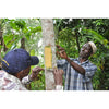 Sonnentor Luomu Ceylon Kaneli