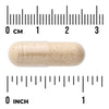 Swanson Full Spectrum Wild Yam