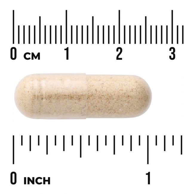 Swanson Full Spectrum Wild Yam