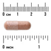 Swanson Pine Bark Extract 50 mg