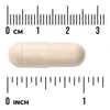 Swanson Saccharomyces Boulardii kapseli