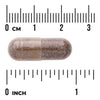 Swanson Shatavari Root Extract