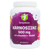 Terveyskaista Karnosiini 500 mg