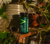 Vitalized Iron+ / Eisen+ 15 mg-Vitalized-Hyvinvoinnin Tavaratalo