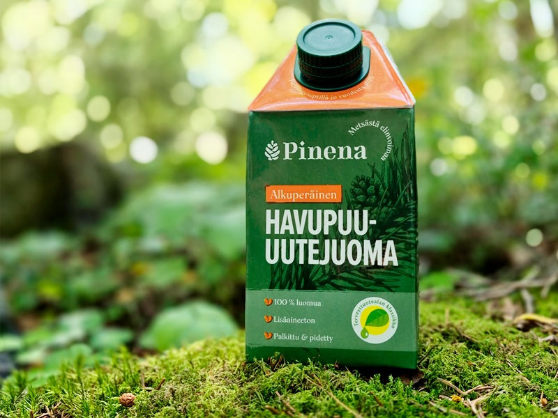 Karin Havupuu-uutejuoma 6-pack