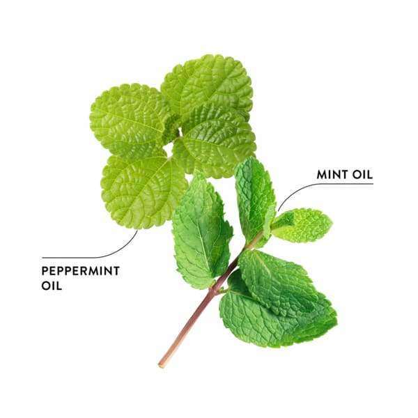 Ecodenta Minty Coconut Suuvesi-Ecodenta-Hyvinvoinnin Tavaratalo