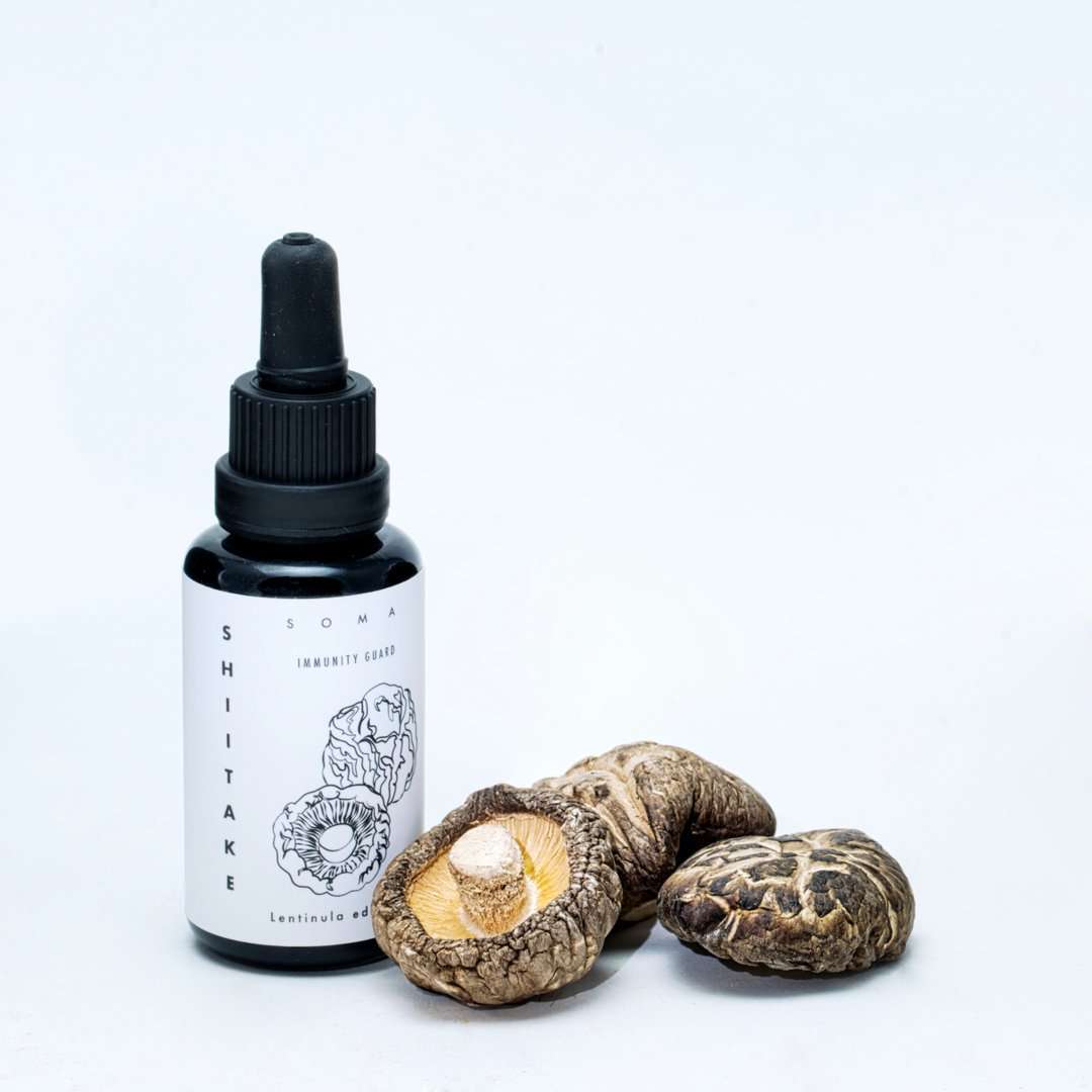 KÄÄPÄ Mushrooms Luomu Shiitake sieniuute-KÄÄPÄ Mushrooms-Hyvinvoinnin Tavaratalo