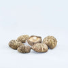 KÄÄPÄ Mushrooms Luomu Shiitake sieniuute-KÄÄPÄ Mushrooms-Hyvinvoinnin Tavaratalo