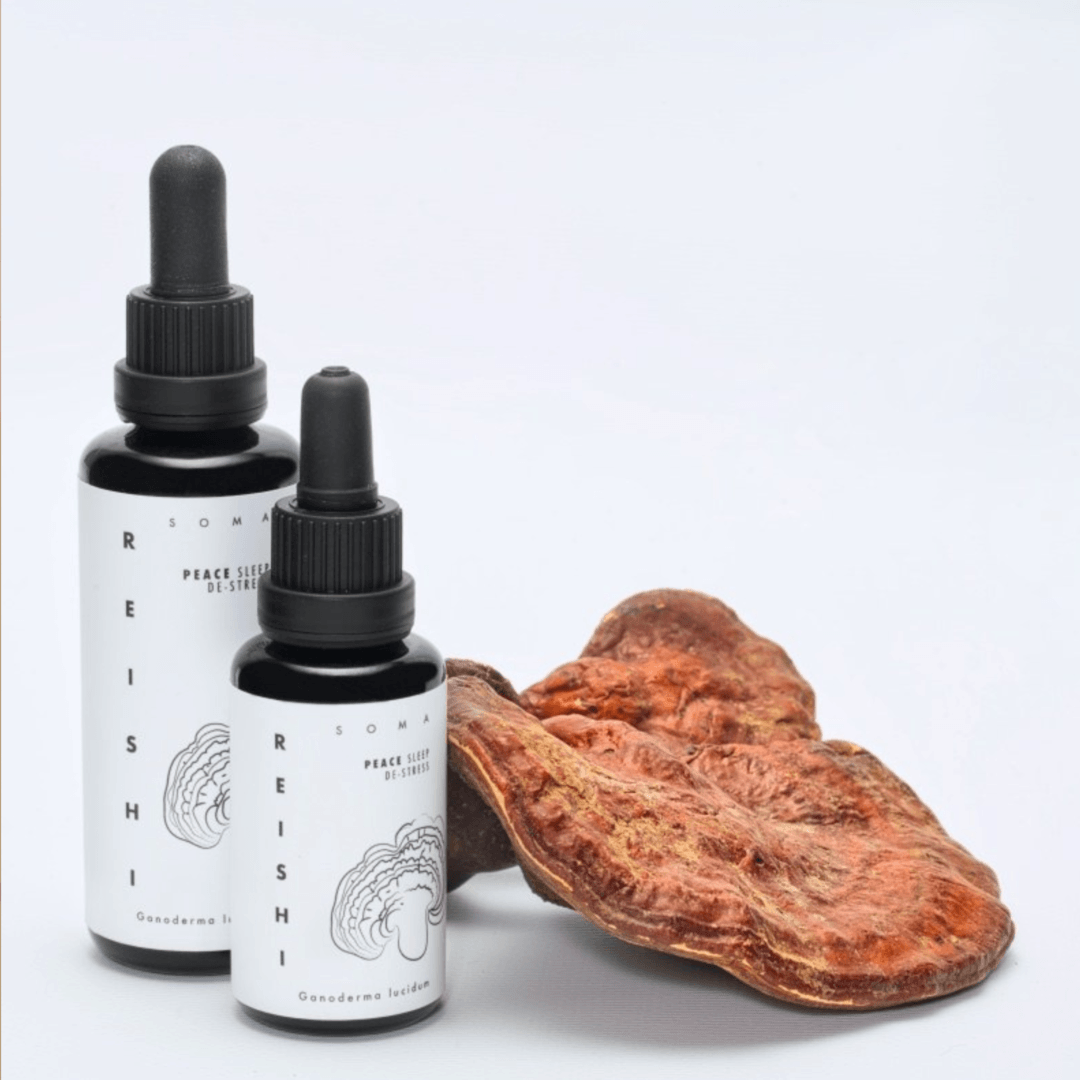 KÄÄPÄ Mushrooms Reishi sieniuute-KÄÄPÄ Mushrooms-Hyvinvoinnin Tavaratalo