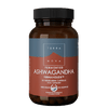 Terranova Fermentoitu Ashwagandha