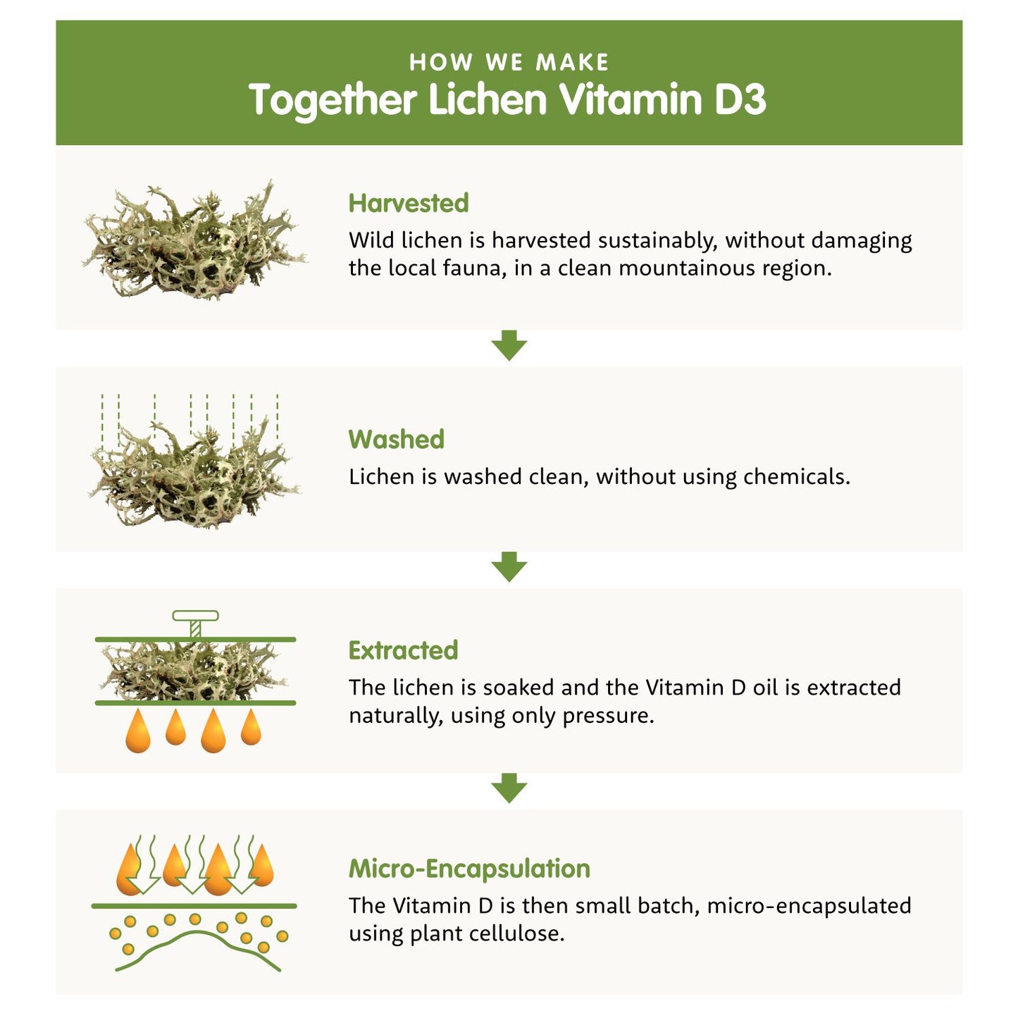 Together Health Menopause-Together Health-Hyvinvoinnin Tavaratalo