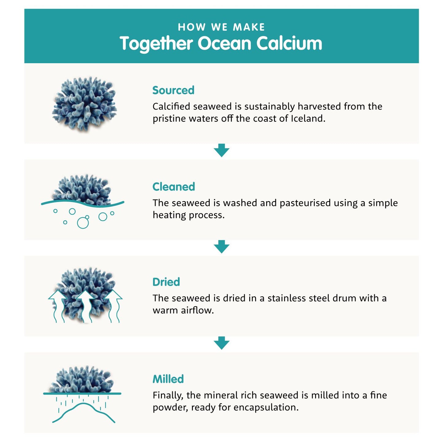 Together Health Menopause-Together Health-Hyvinvoinnin Tavaratalo