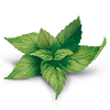 YogiTea Luomu Inkivääri-Sitruunatee-YogiTea-Hyvinvoinnin Tavaratalo