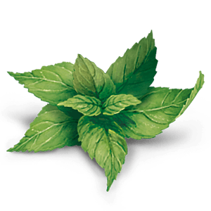 YogiTea Luomu Inkivääri-Sitruunatee-YogiTea-Hyvinvoinnin Tavaratalo
