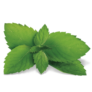 YogiTea Luomu Inner Harmony tee-YogiTea-Hyvinvoinnin Tavaratalo